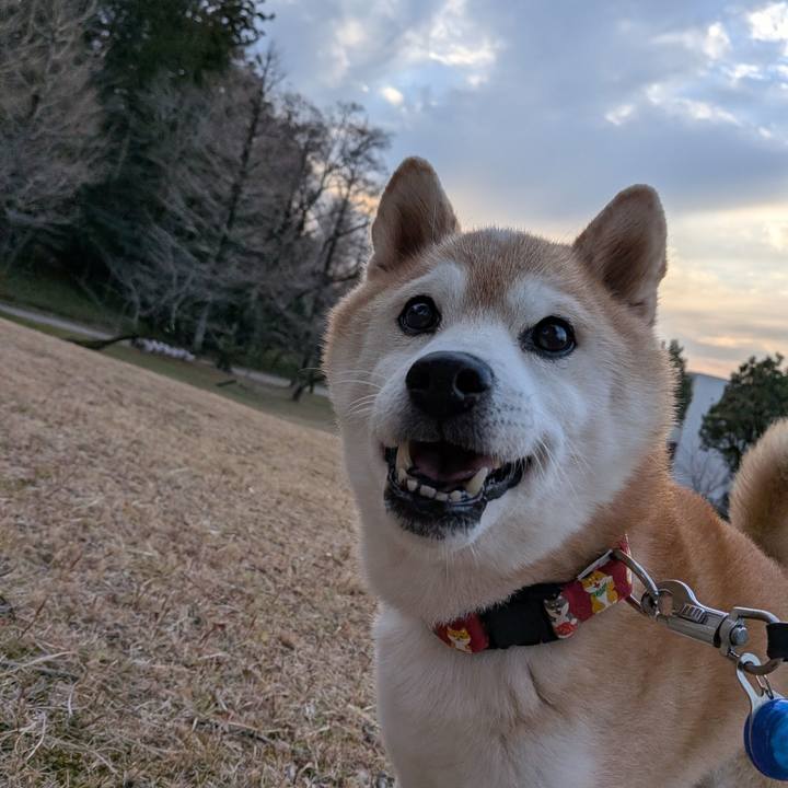 Cc16bf08 b2f8 4fa8 b421 8c706c4ac69b 1770372917713