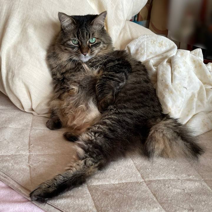 Cc16cece 460a 4900 a92c 36b24b24a450 1769257784994