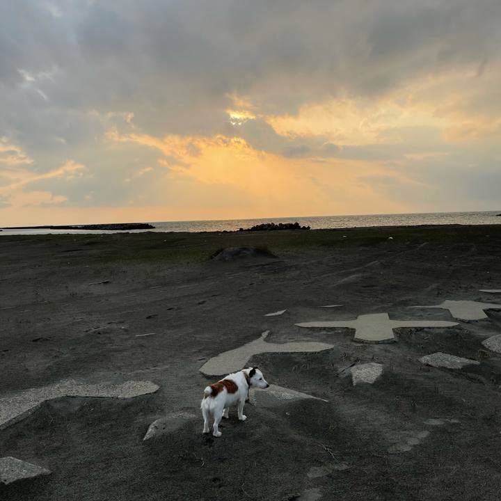 Cc171e13 1b77 4be4 92dc 36107fdd3b8d 1616749062339