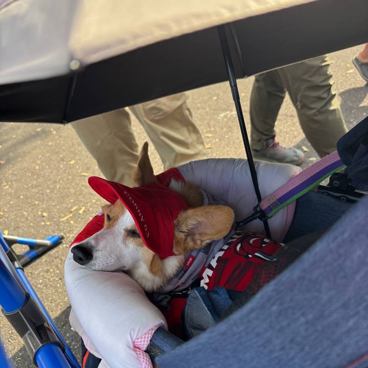 Cc176e65 2a51 4969 b2ba b7f6919f2be7 1758951970934