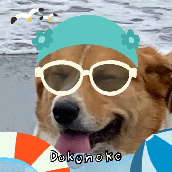 Cc17def8 9bec 48bf 85d1 c8165f01a249 1723250198675