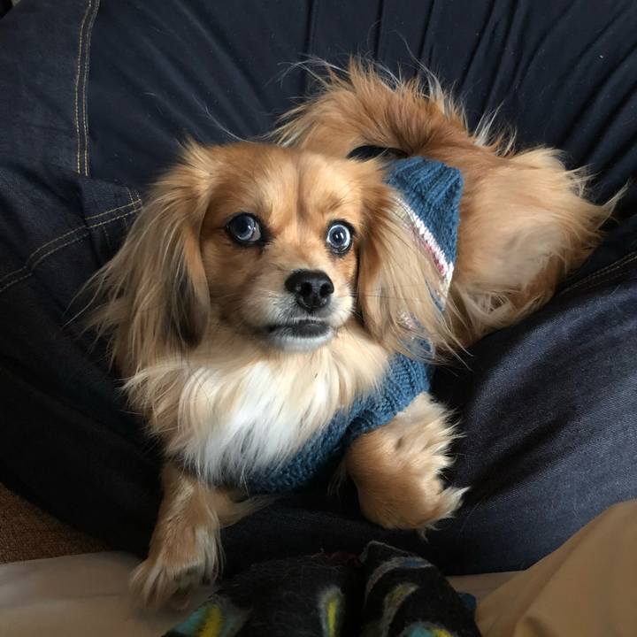 Cc17e9bb 6e90 47e8 8772 674f70aa5c9c 1549848921882