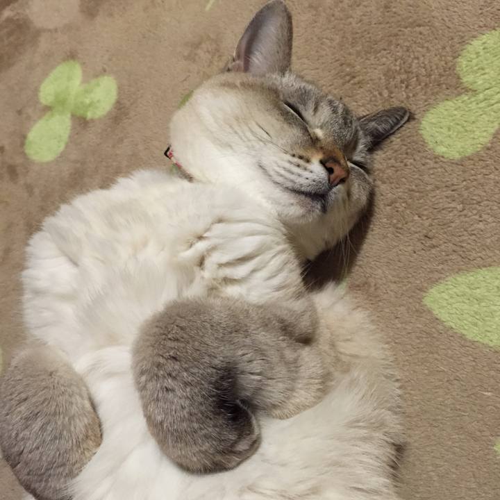 Cc17fabe 51a9 4919 a959 cfdd2d30de24 1542884791810