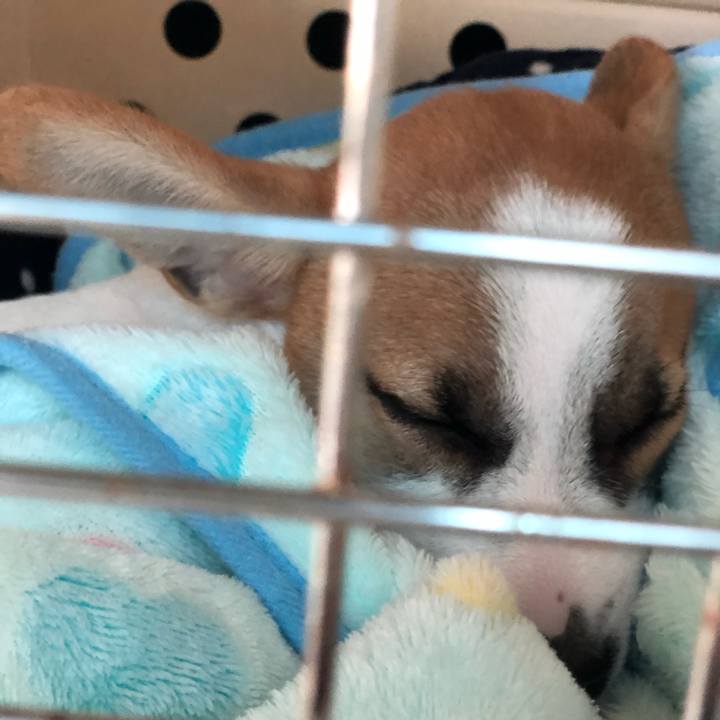 Cc181784 3d4e 4de8 ba9e 60360b55c420 1547434678191