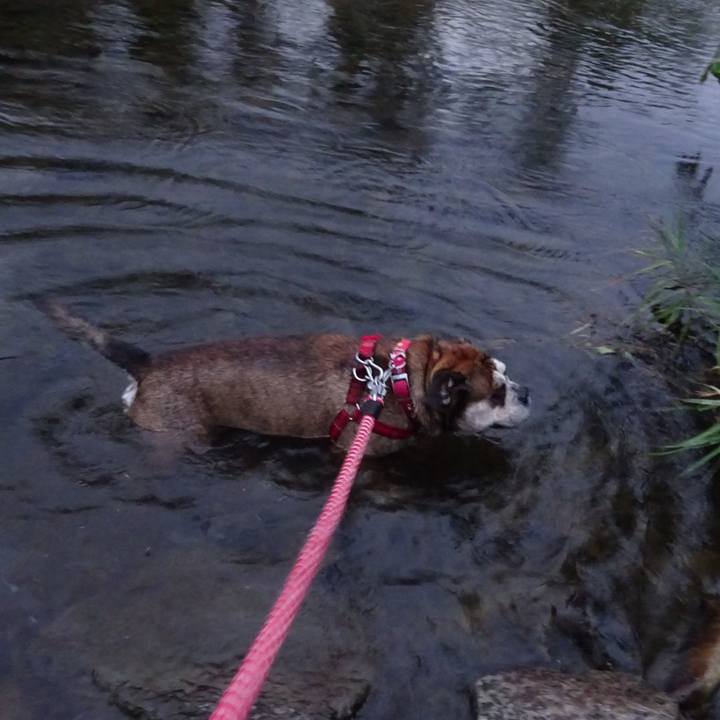 Cc181fa6 eef5 4917 b2f5 8109737f1228 1570110825683