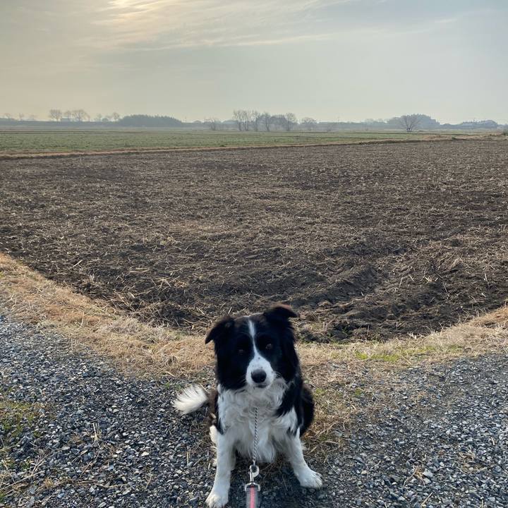 Cc182f40 66c1 44b0 9e82 1f4c64f6e49a 1643242033161