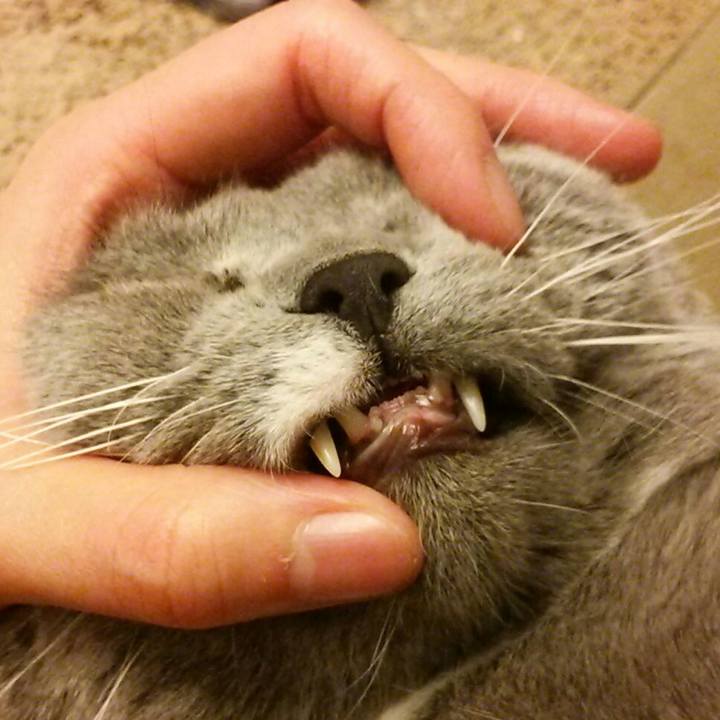 Cc1869e6 4811 43bf 9639 c6632d2a8577 1578389499821