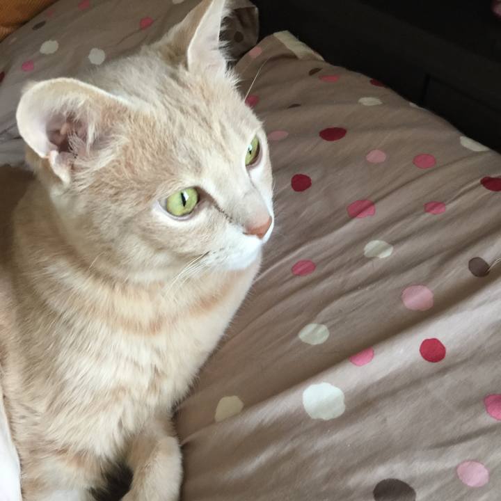 Cc18789c a5c7 4629 a381 44b62e767620 1618961426991