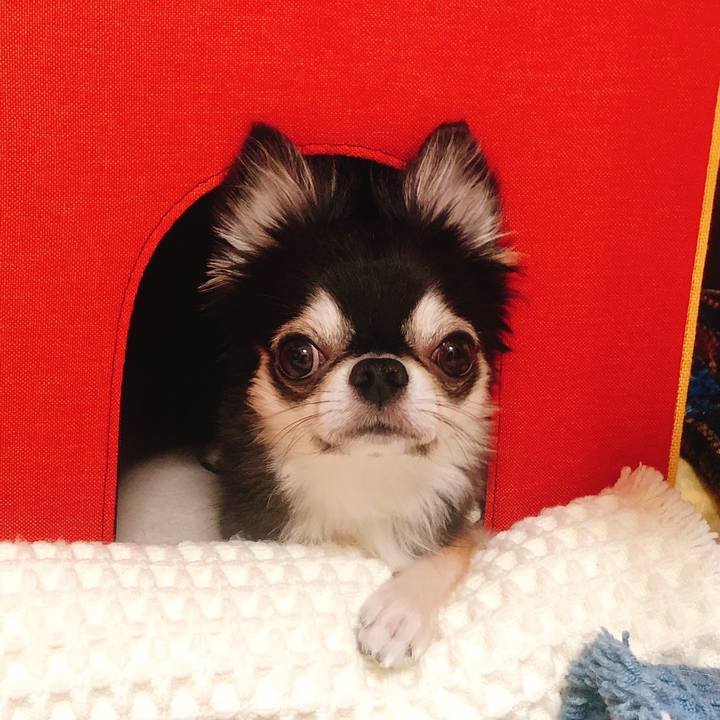 Cc187c43 7c30 4c92 8f2a 4e17b9f08ca3 1696863039049