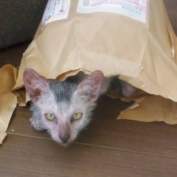 Cc187c6b 62c9 440d ab45 dc09aad732cb 1514098704649