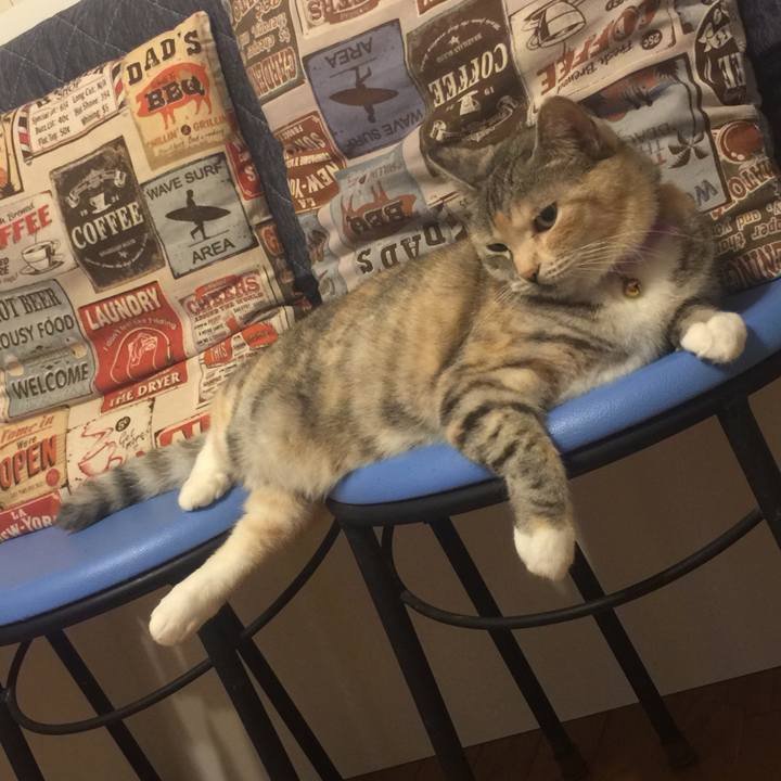 Cc1897e3 4ff4 4b1b bb44 0111290dbf1b 1561469314862