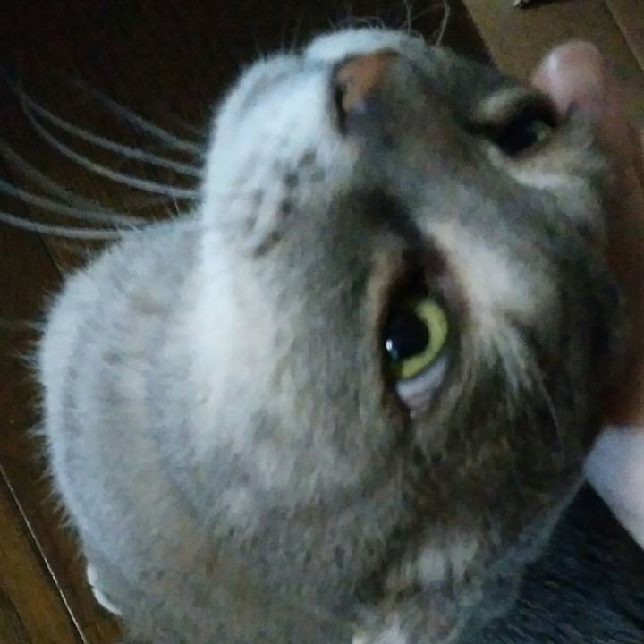 Cc18988a bc49 4b32 8373 032fb7f507b3 1590574002173