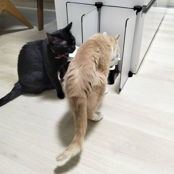 Cc19014e 94bb 4ea5 b514 2deebde3df29 1689327281359