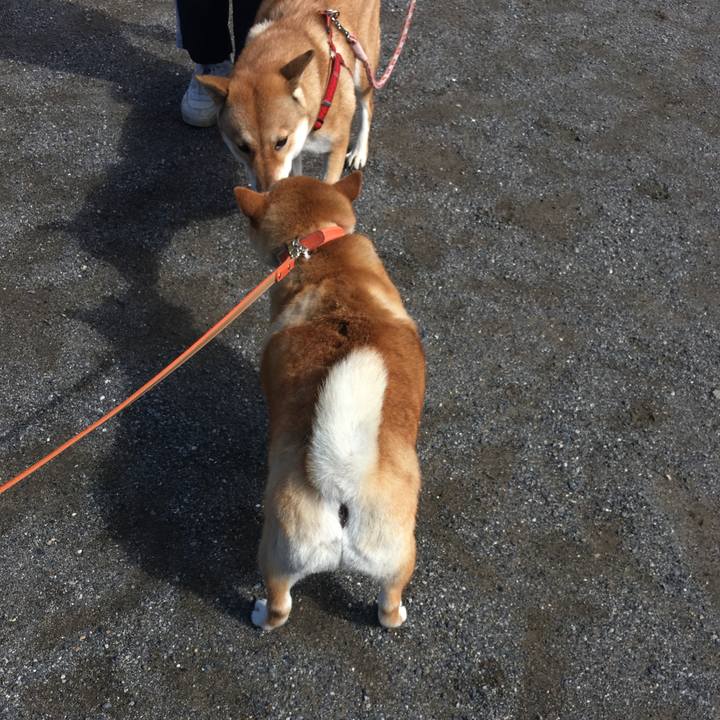 Cc190cc5 fa9f 4c6c 8a7f 94ece000fa65 1599957800761