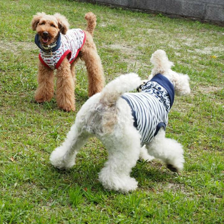 Cc191e6b 7d58 4e26 9055 c231063362ca 1508377265347