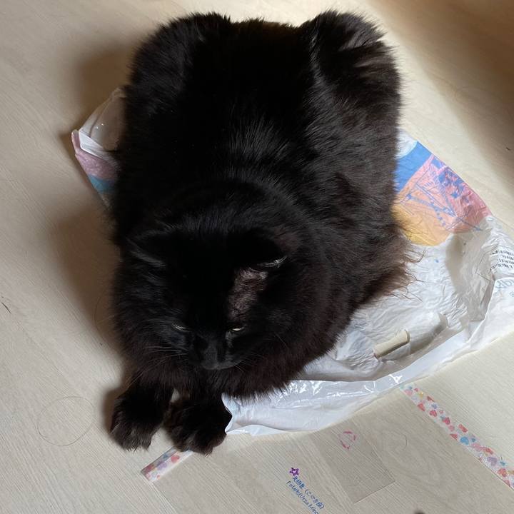 Cc196807 0269 4383 82f8 5fcbfa389883 1615708834388