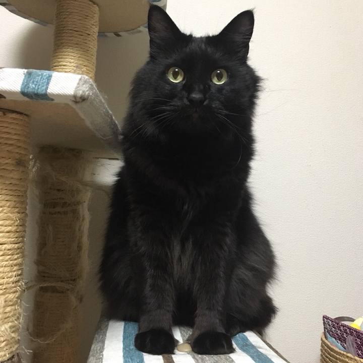 Cc19782d 92e8 495b 90b0 1ecaea579813 1520182096224