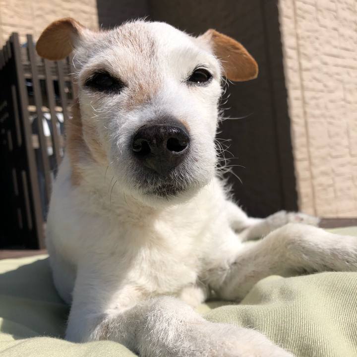 Cc19aa2b 0cfd 41ec a312 81e957e13bba 1519102615688