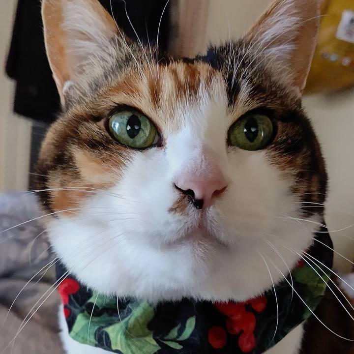 Cc19b40b c18e 42d7 8c12 81f0430eae26 1648860420805