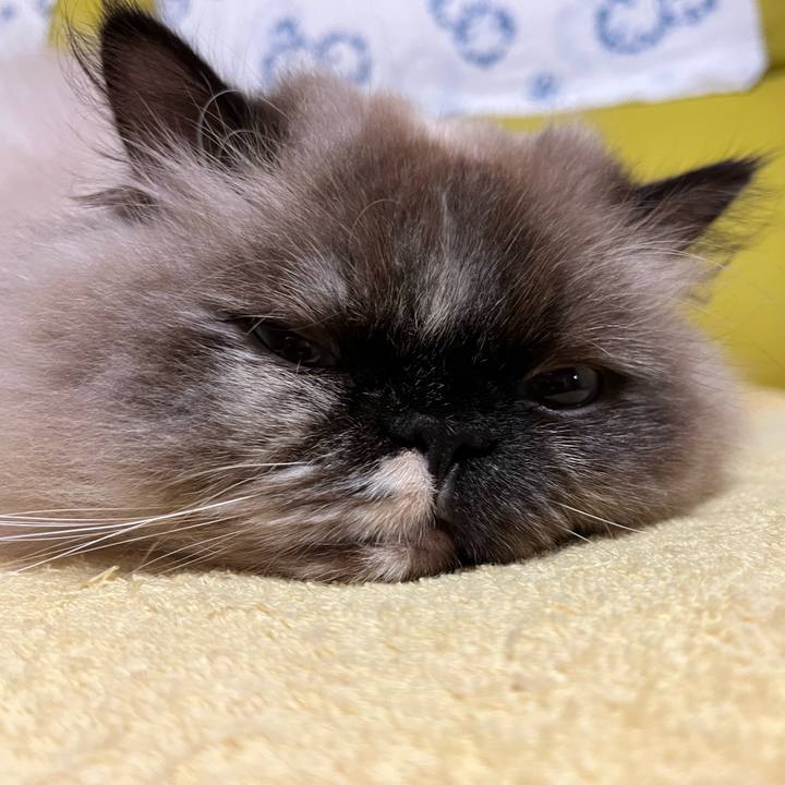 Cc19c761 f369 49c9 9e2c f7c67bdbb480 1671366457990