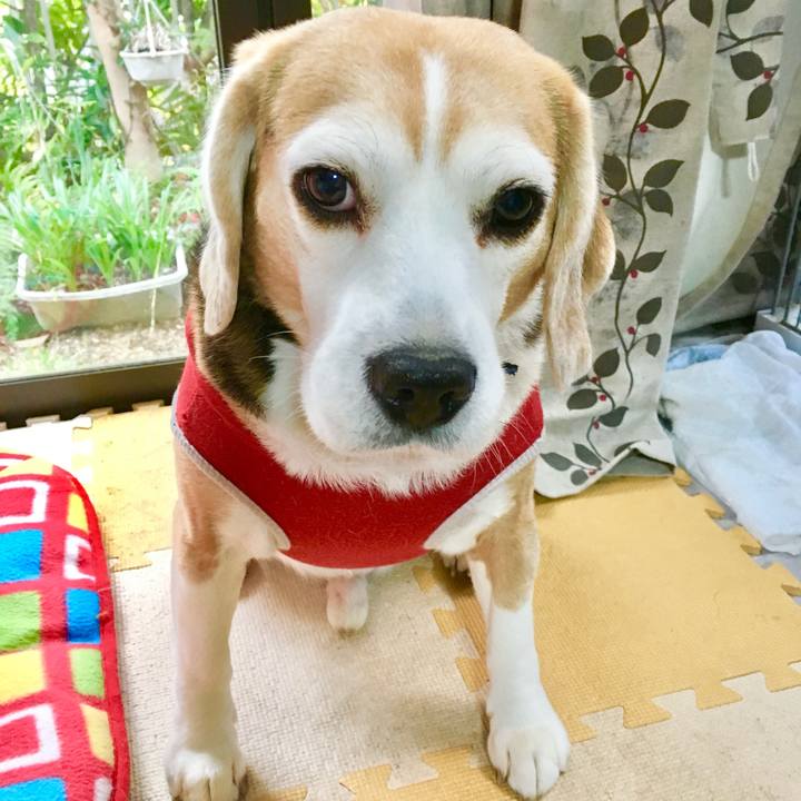 Cc19fe7d 69a2 47a0 ada6 ec6b3388d39c 1763188584878