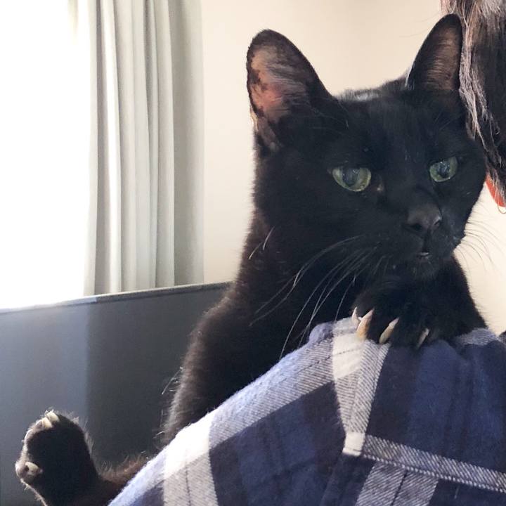 Cc1a1bfb 197f 4af4 a82d e8d504410577 1540698785725