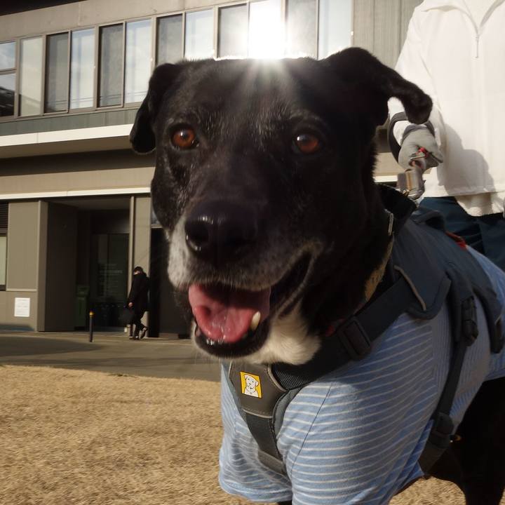 Cc1a2157 5075 41ca 9526 2cccf5c482ce 1740702194232