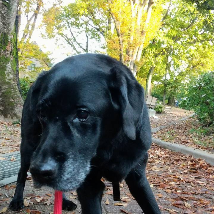 Cc1a3234 017d 41d9 abf6 297559a91ed1 1700264014957