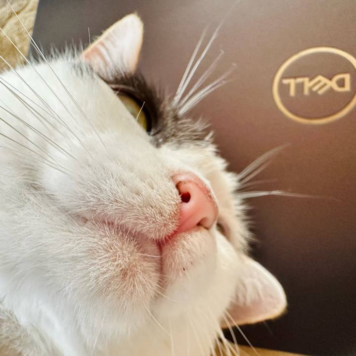 Cc1a4b39 1715 4af2 aa48 a69c95ab6eed 1699924707889