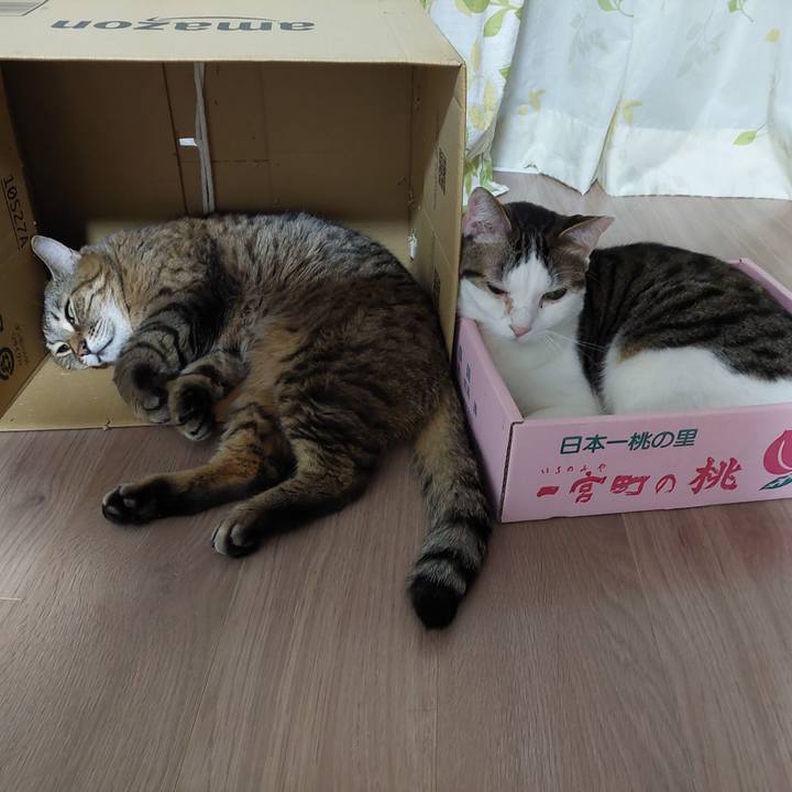 Cc1a4ccc aa03 4c9d b229 70a2cb2eb736 1649507802951