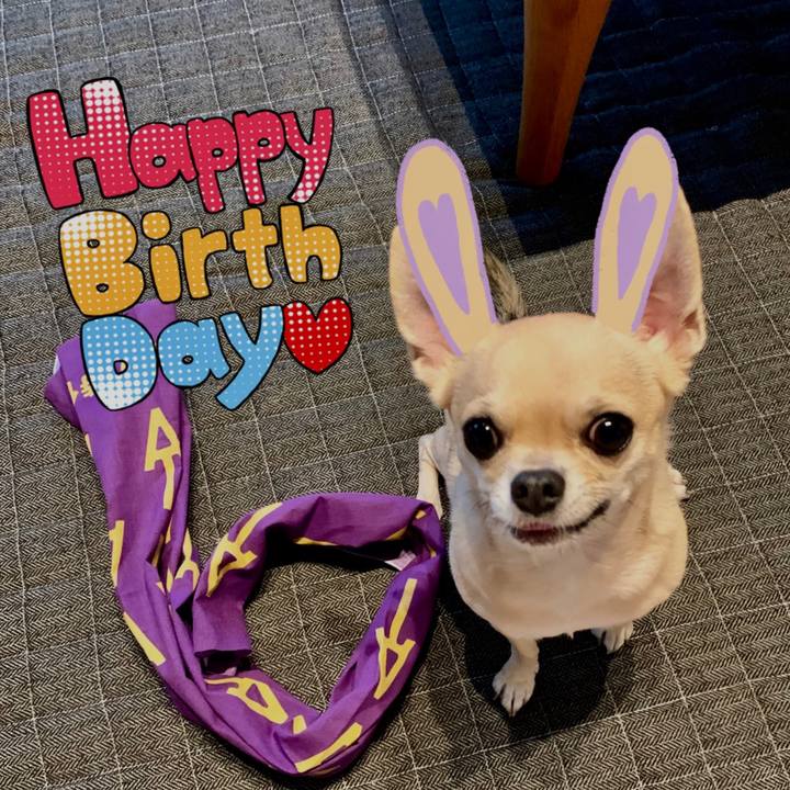 Cc1a5620 fc52 4172 9a7c 7b01e4780a21 1568328467419