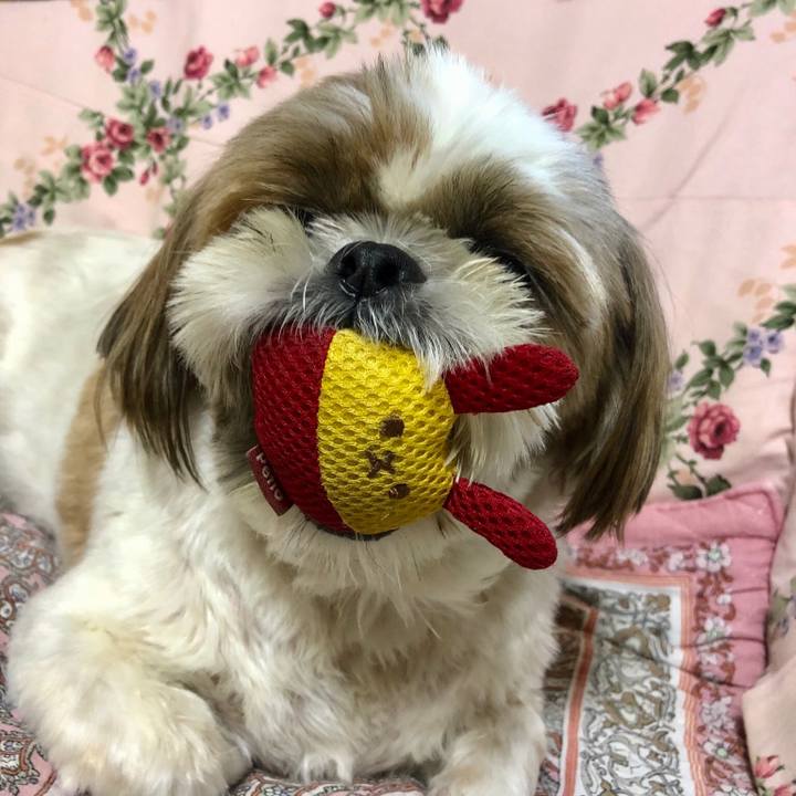 Cc1a7983 3944 456e 8f94 7cb5951d9eed 1535181033307