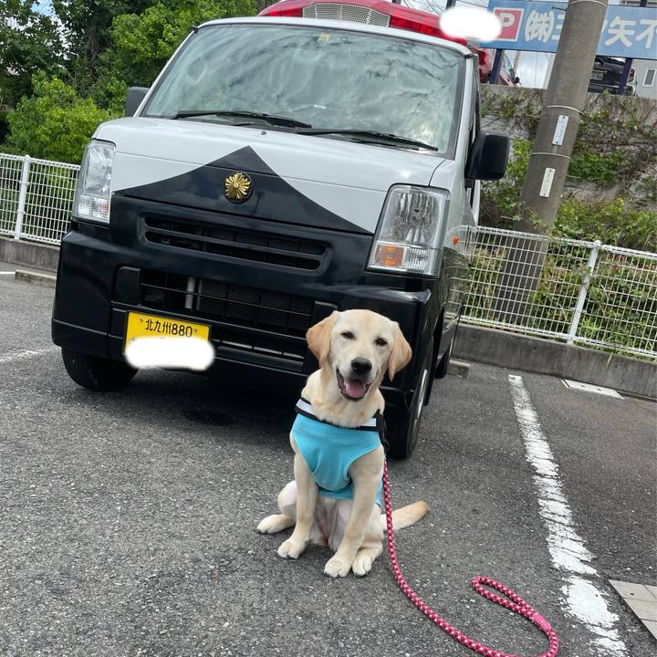 Cc1ac370 3c28 4d1f 8191 ae55cd55a67e 1622123694732