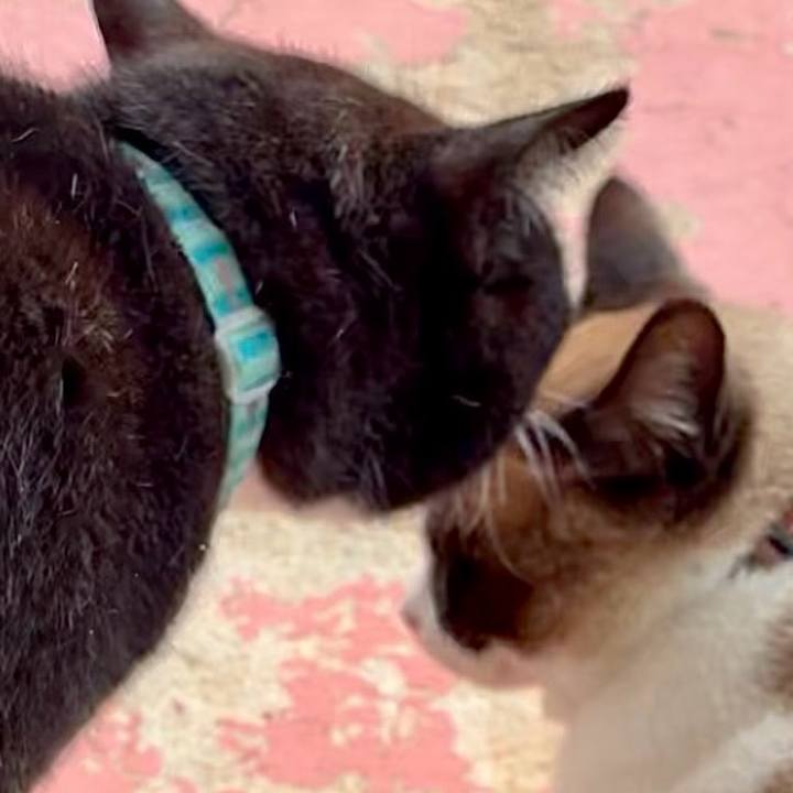 Cc1ad6f1 c25b 4bae 934b 66e48aa3db76 1747813563683