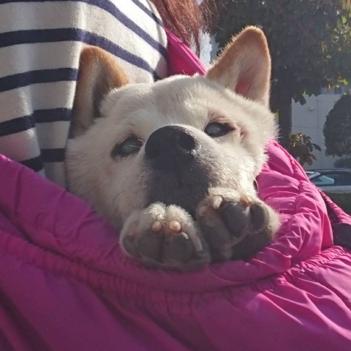 Cc1af7a3 ec2d 421e b23a edc66f77ce76 1509774222324