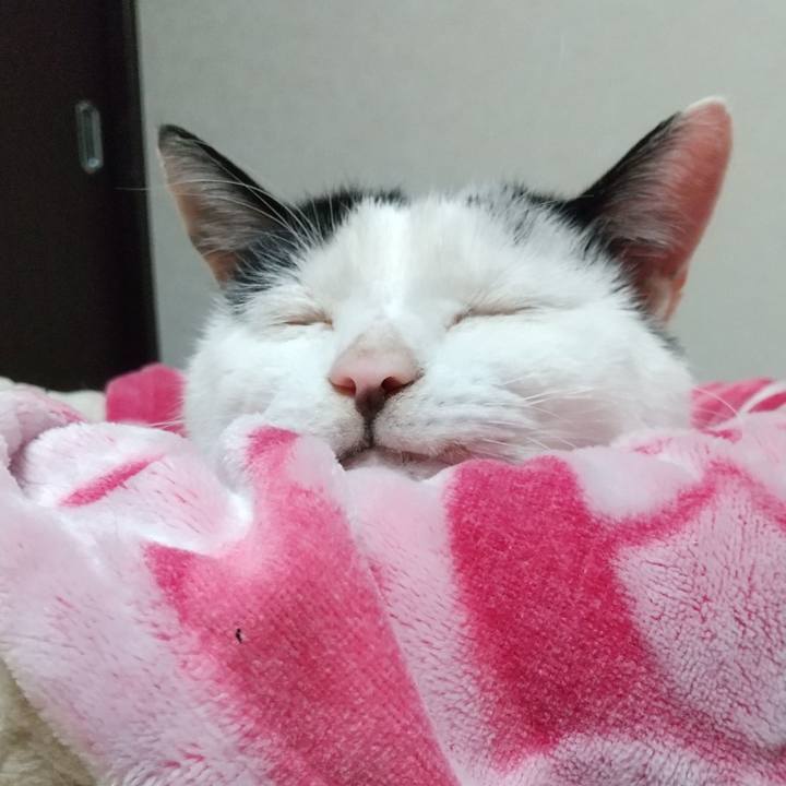 Cc1b07b9 0e5f 42b3 ab79 f53b1932d531 1603347373453