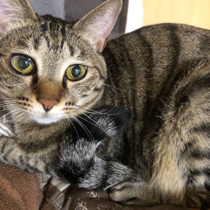 Cc1b353b 78f7 40f6 9fe3 533bec449caf 1573874512669