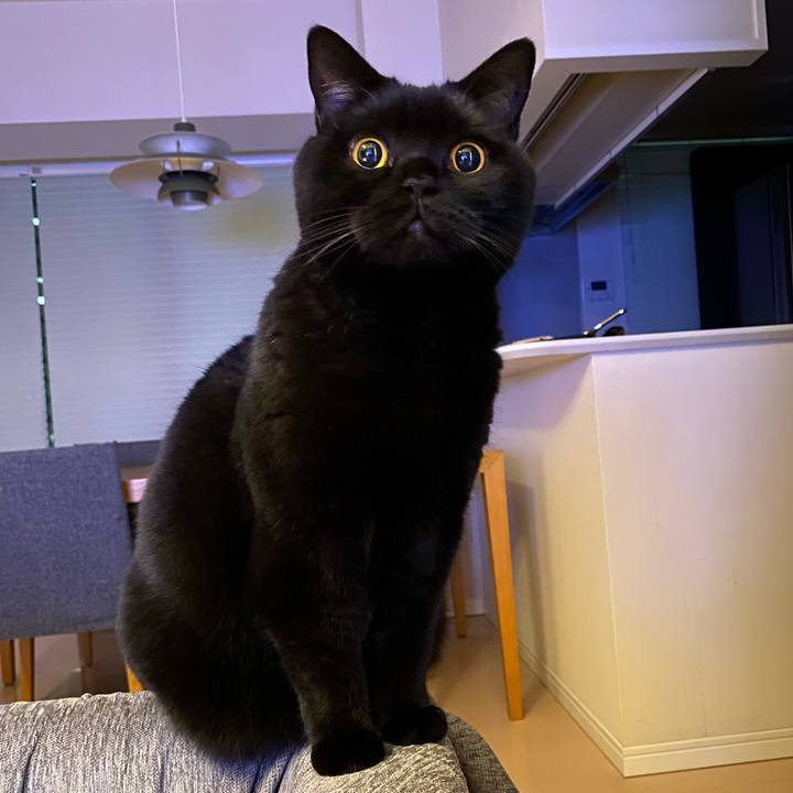 Cc1b8dc0 73ce 436e bb5f 9c4845e7f162 1732279647754