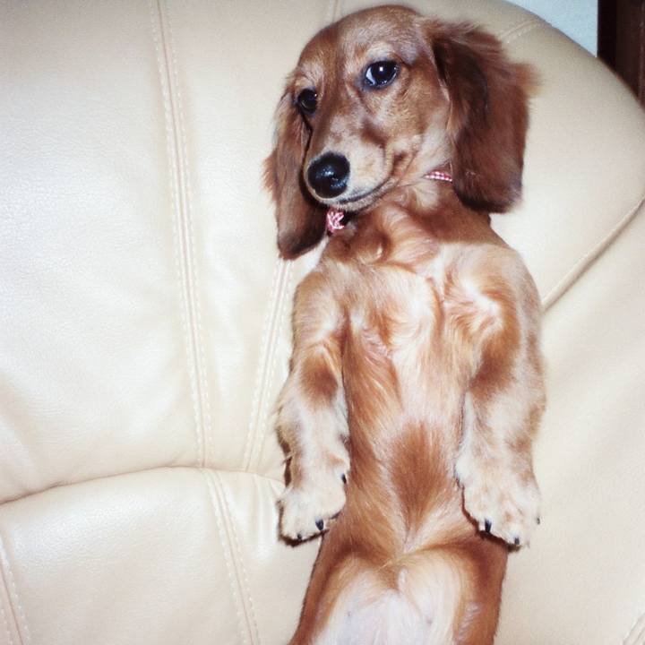 Cc1b92c2 5fd6 420e ba01 9edf871b2b0e 1552413004536