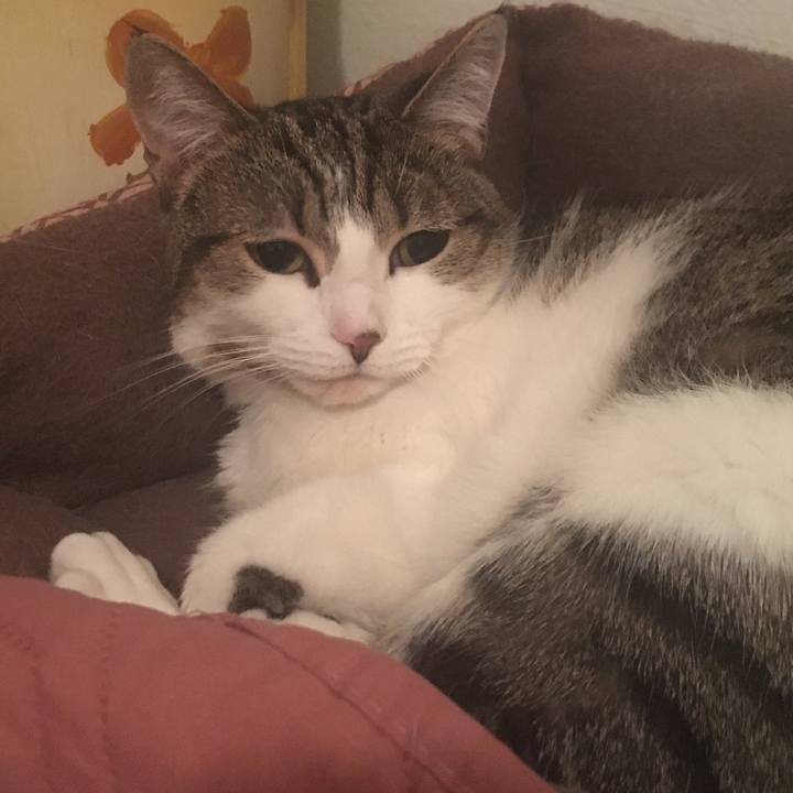 Cc1b9f39 2a6e 4b59 bd82 f2ece35ec31c 1669411647850