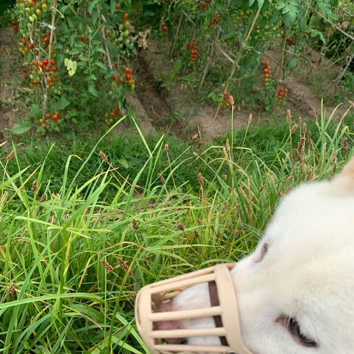 Cc1bac01 436f 463b a68a ffb26e7838ee 1661459737846