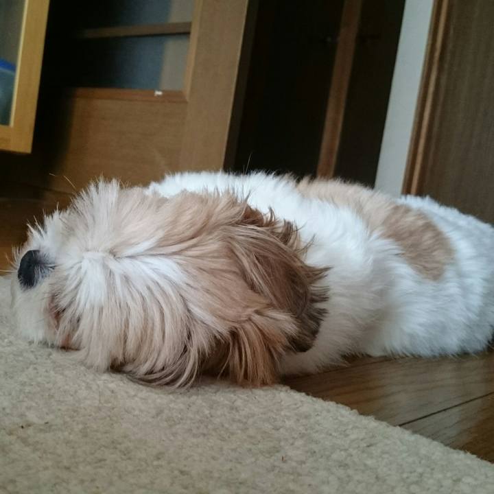 Cc1bb18b 59c9 4e72 a2c1 258810d4d24f 1507431951110