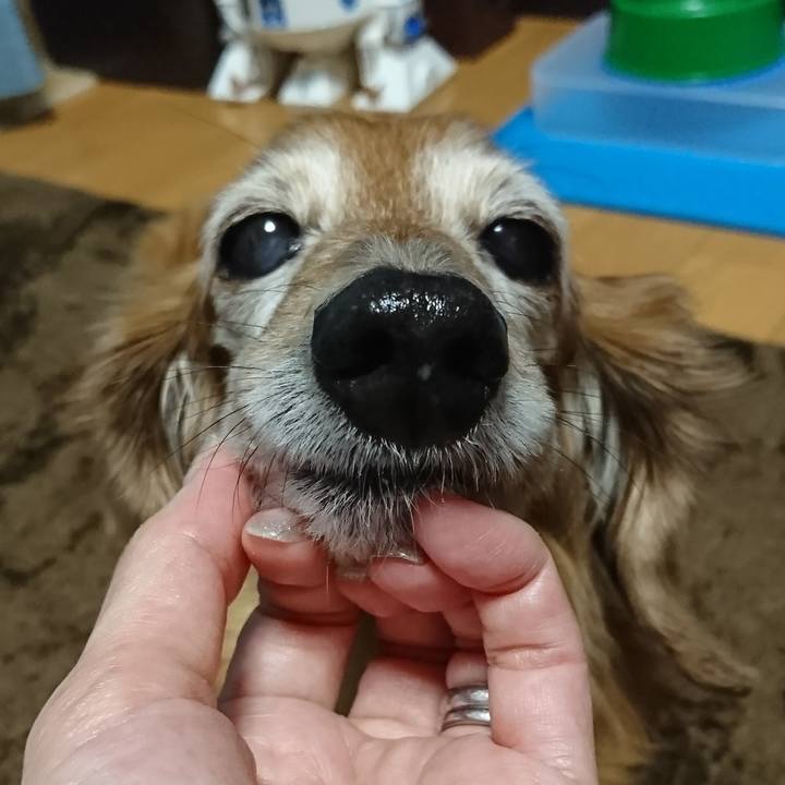 Cc1bf557 b11b 4bf3 bf2a 96c9d94487c7 1685121021841