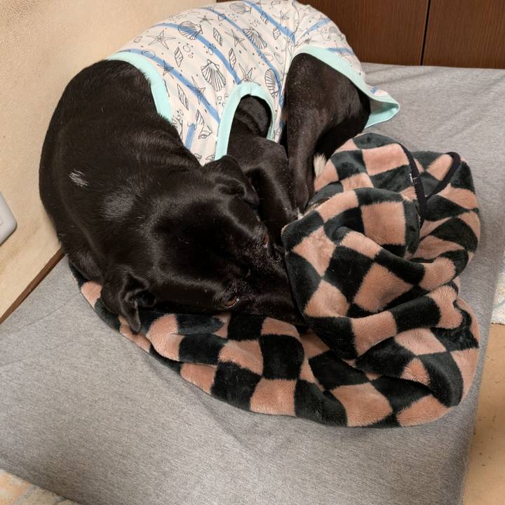 Cc1c1d0b e770 490f af46 5e627f800c0e 1736467792596