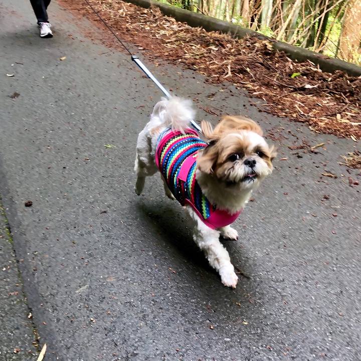 Cc1c295f 8169 44a1 a873 0611cf69b0fe 1556795642319