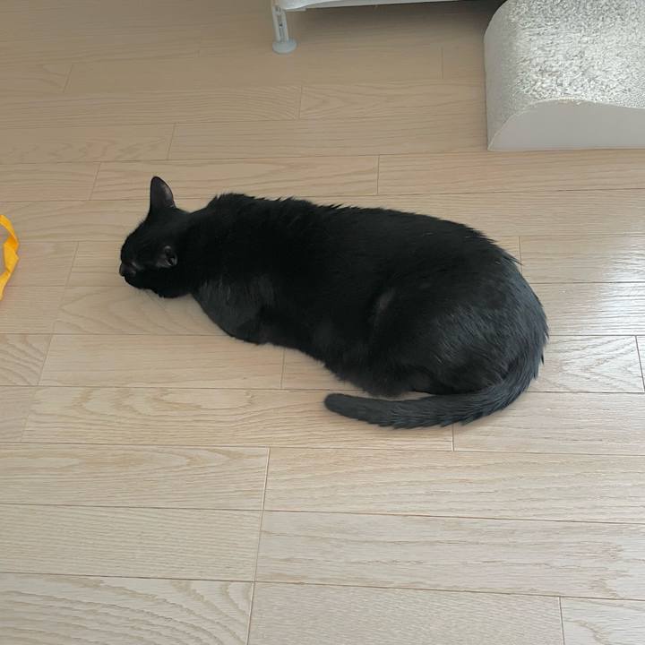 Cc1c54ba 7be6 4149 a63a 2d2c1327e09e 1742696775354