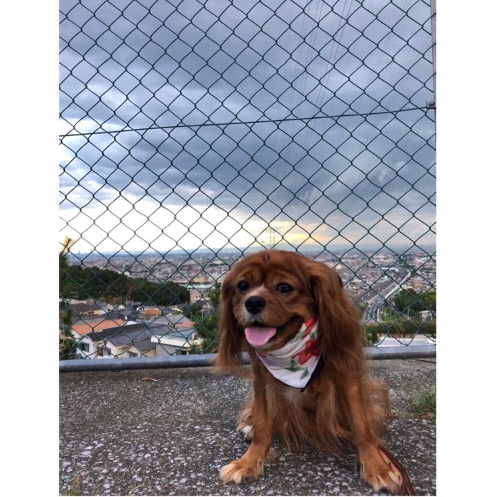 Cc1c5b3f 9c36 4c86 8254 611ff78fc8a2 1599295583311