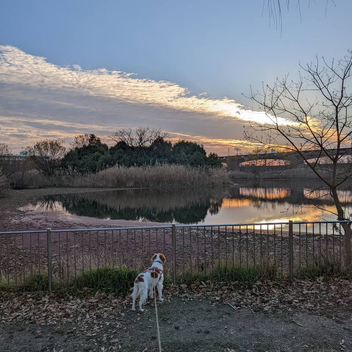 Cc1c5ee0 444d 4bcc bc92 4d3a38b5feab 1640086466930