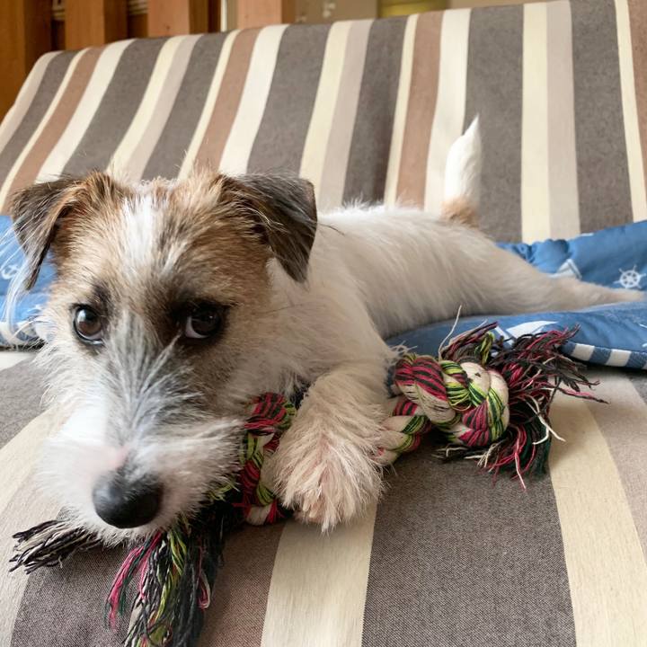 Cc1c79cb a9c3 4246 8de3 de340e0d49e8 1567753263265