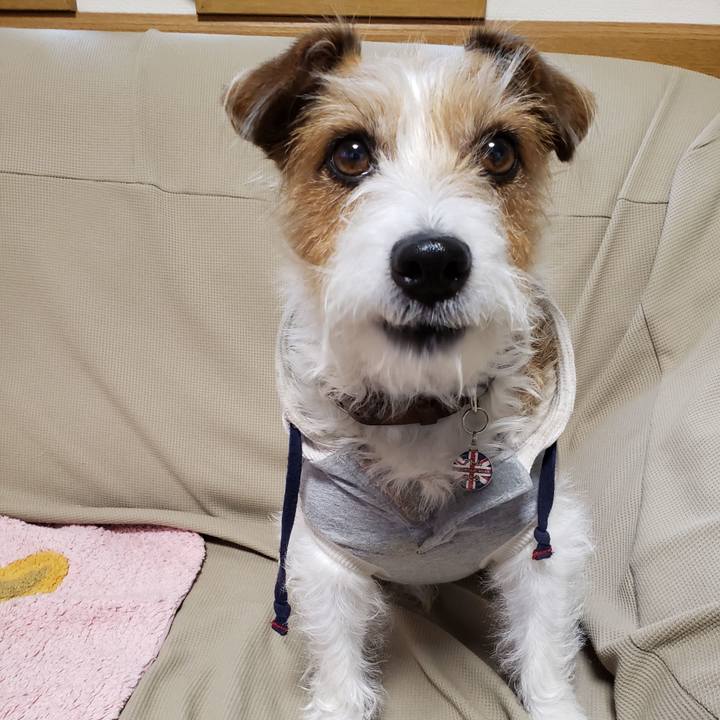 Cc1ca811 ba41 4f4f a2e0 6de0b6392ce1 1762236944959